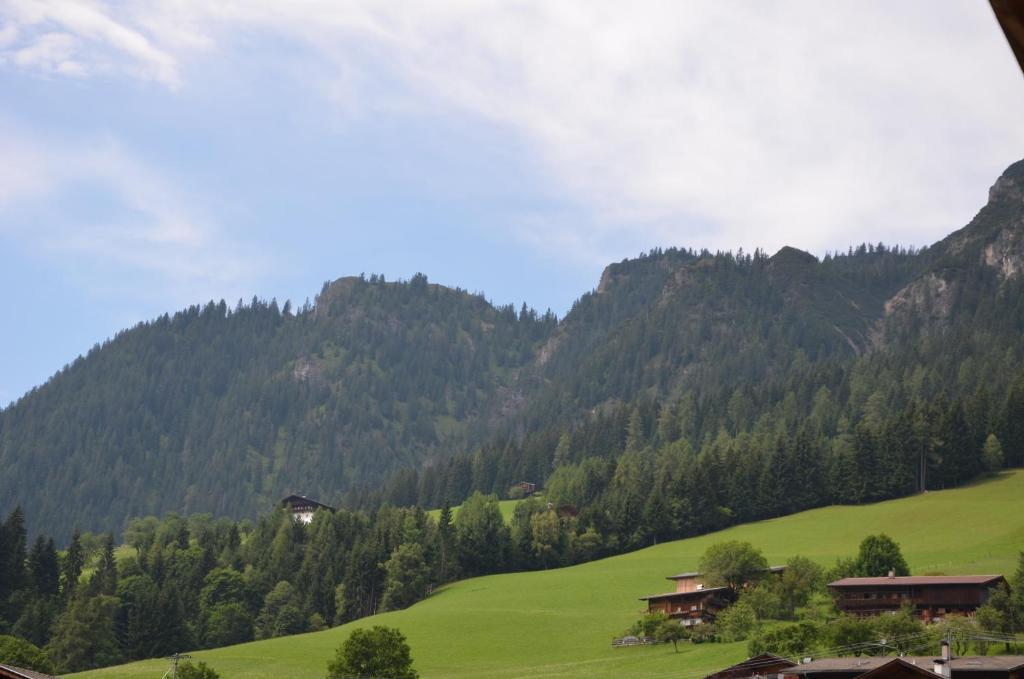 Appartement Leirer Alpbach Kamer foto